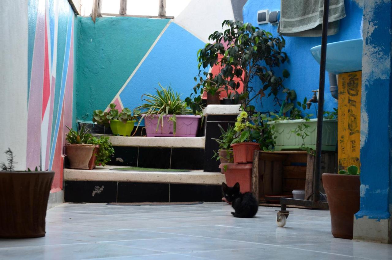 Tayought Surf Hostel ทากาเซาท์ ภายนอก รูปภาพ