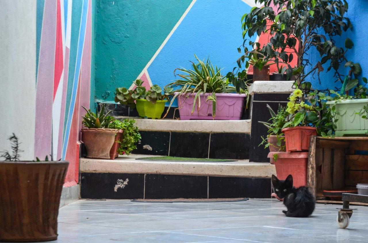 Tayought Surf Hostel ทากาเซาท์ ภายนอก รูปภาพ